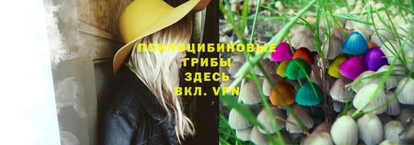шишки Аркадак
