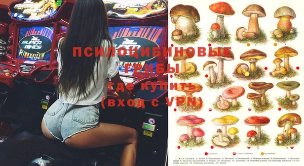 ГАЛЛЮЦИНОГЕННЫЕ ГРИБЫ Арсеньев