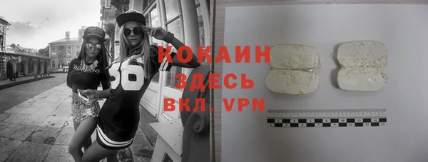 шишки Аркадак