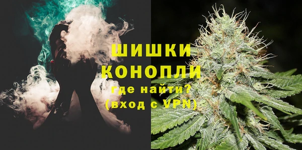 ГАЛЛЮЦИНОГЕННЫЕ ГРИБЫ Арсеньев