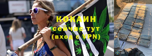 шишки Аркадак